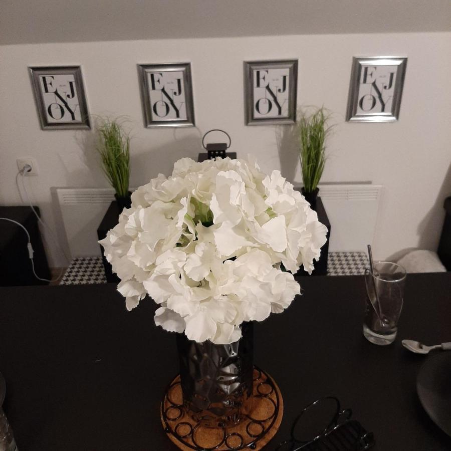 Apartment Mansarda Maribor Eksteriør bilde