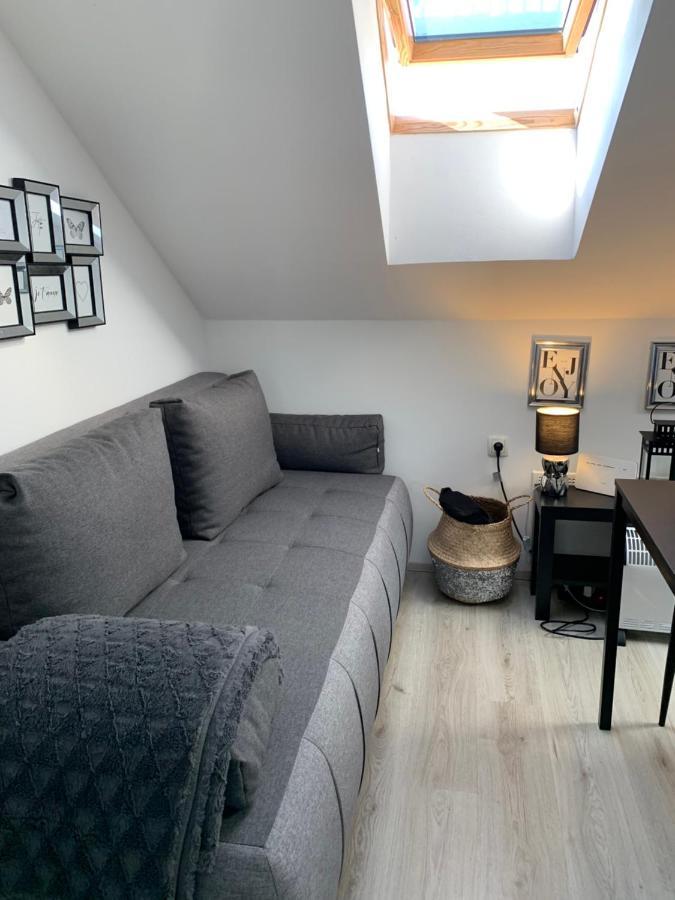 Apartment Mansarda Maribor Eksteriør bilde