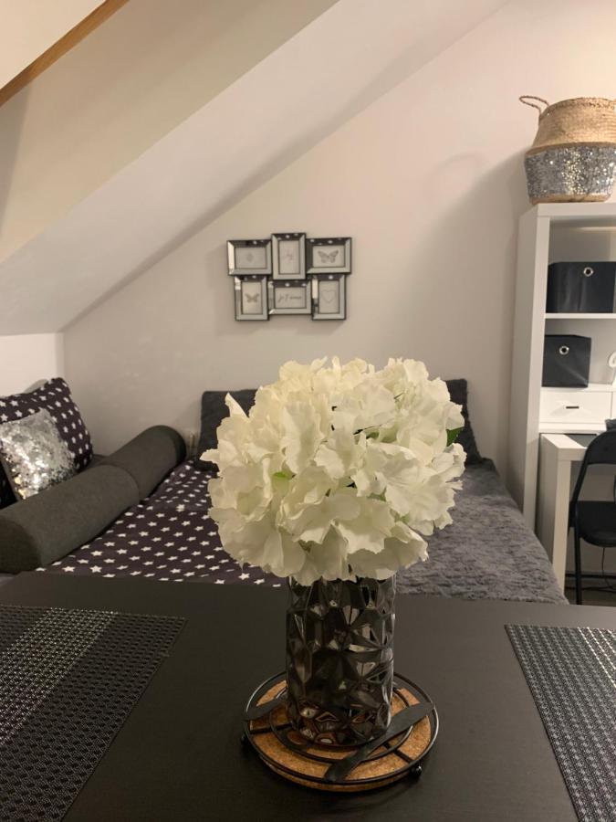 Apartment Mansarda Maribor Eksteriør bilde