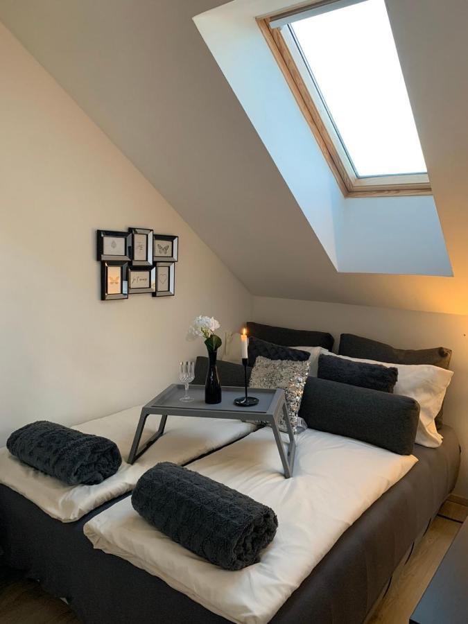Apartment Mansarda Maribor Eksteriør bilde