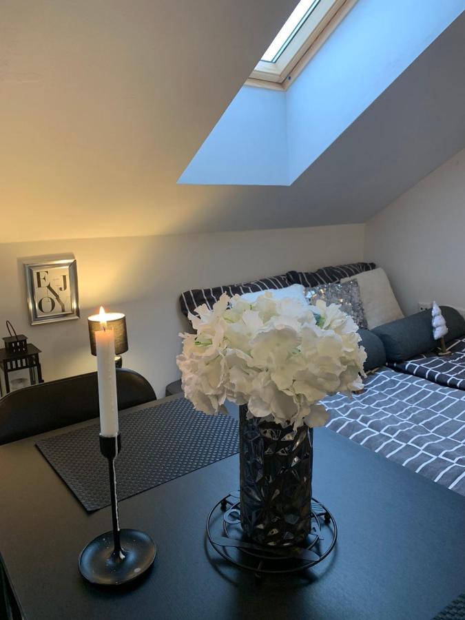 Apartment Mansarda Maribor Eksteriør bilde