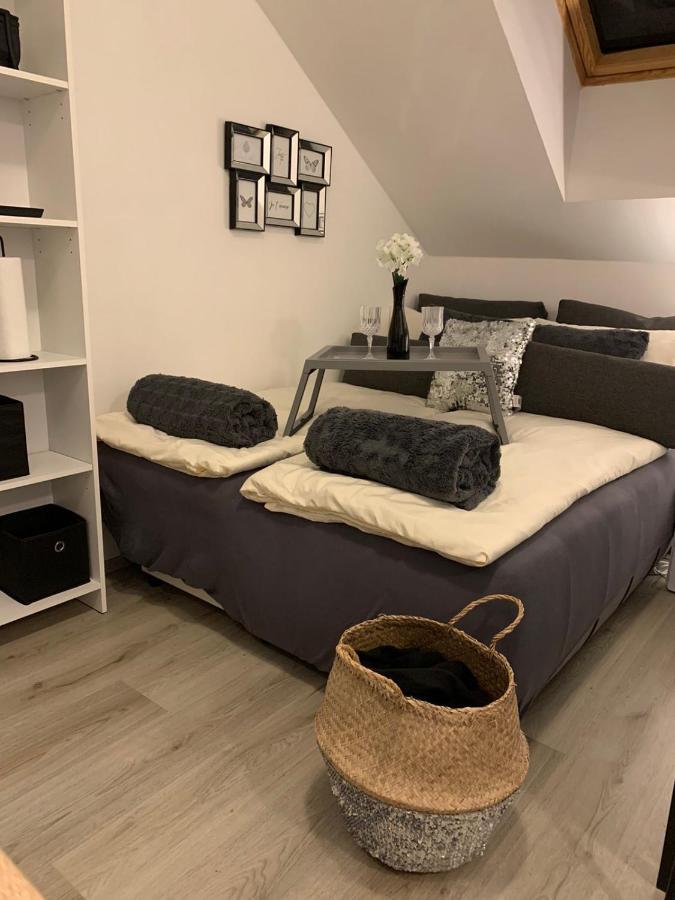 Apartment Mansarda Maribor Eksteriør bilde